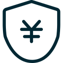 Asset security Icon