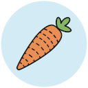carrot Icon
