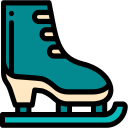 ice-skate Icon