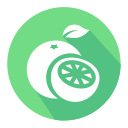 Fresh fruit Icon
