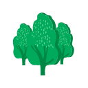 Forest energy Icon