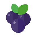 Fruit area Icon