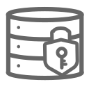 Database encryption Icon
