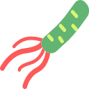 bacteria Icon