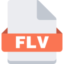 FLV Icon