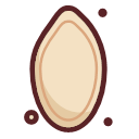 Pumpkin seed Icon