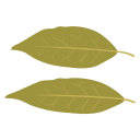 Fragrant leaf Icon