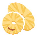 Dried pineapple Icon