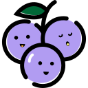 16 grapes Icon