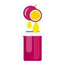 Passion fruit Icon