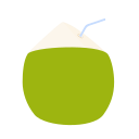 Icon coconut Icon