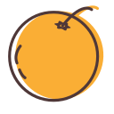 grapefruit Icon
