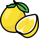 Icon grapefruit Icon