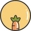 Carrot -01 Icon