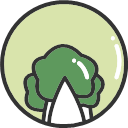 Chinese cabbage -01 Icon