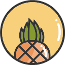 Pineapple -01 Icon