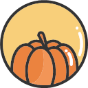 Pumpkin -01 Icon