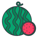 Linear watermelon Icon
