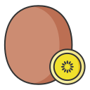Linear yellow heart Kiwifruit Icon
