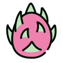 pitaya Icon