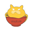 Medium bowl Icon