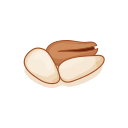 pine nut Icon