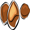 apricot kernel Icon