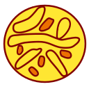 Fried bread Icon