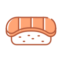 sushi Icon