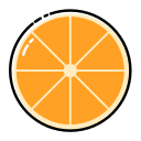 Orange slice Icon