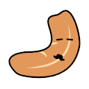 Food cashew Icon