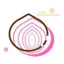 Dried onion Icon