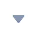 Under triangle Icon