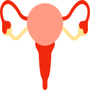 Female reproduction Icon