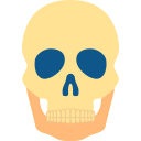 Human skeleton Icon