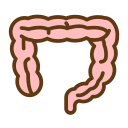 intestines Icon