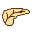 pancreas Icon