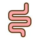 small intestine Icon