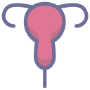 placenta Icon