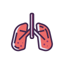 LUNGS Icon