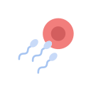 fertility Icon