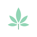 Herbal medicine Icon