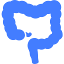 colorectal Icon