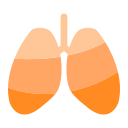 Respiratory specialty Icon