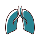 Medicine lung Icon