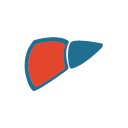 hepatopathy Icon