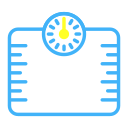 Weighing scale Icon