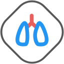 respiratory tract Icon