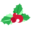 Christmas fruit Icon