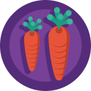 1_carrots Icon
